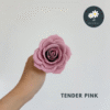 2pcs Tender Pink