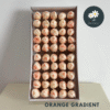 Orange Gradient