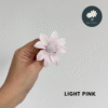 Light Pink