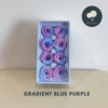 Gradient Blue Purple