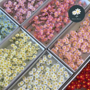 (Per Box) 5 Flower Head Per Pcs of Oil Painting Style Chamomile Soap Flower 油画风洋甘菊香皂花 一支5个花头 Chamomile Bunga Sabun