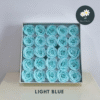 Light Blue