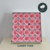 Candy Pink