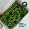 4g Light Emerald Green