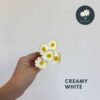 Creamy White