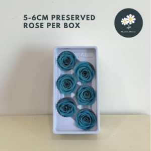 Per Box 5-6cm Grade A Preserved Flower Rose A级永生花玫瑰